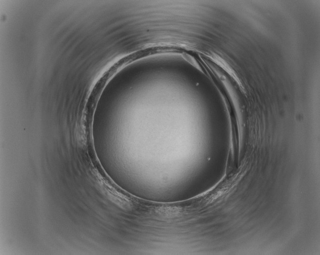 X0000067521068200604071315