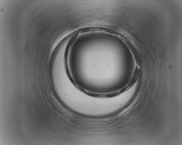 X0000067521069200604071315