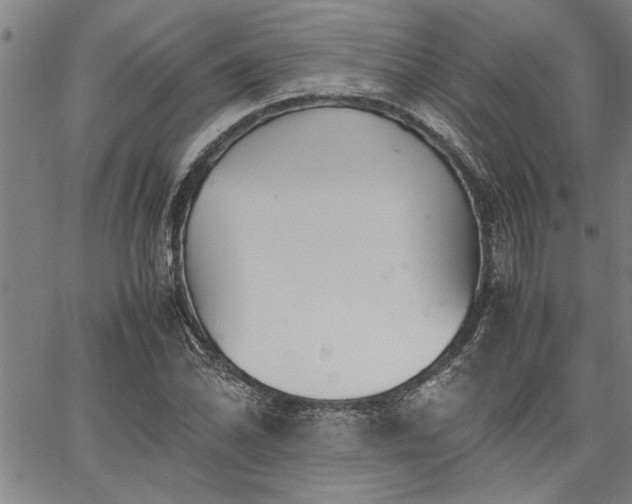 X0000067521070200604071315