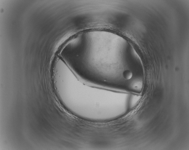 X0000067521071200604071315