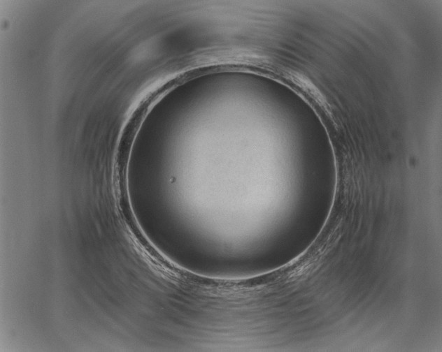 X0000067521072200604071315