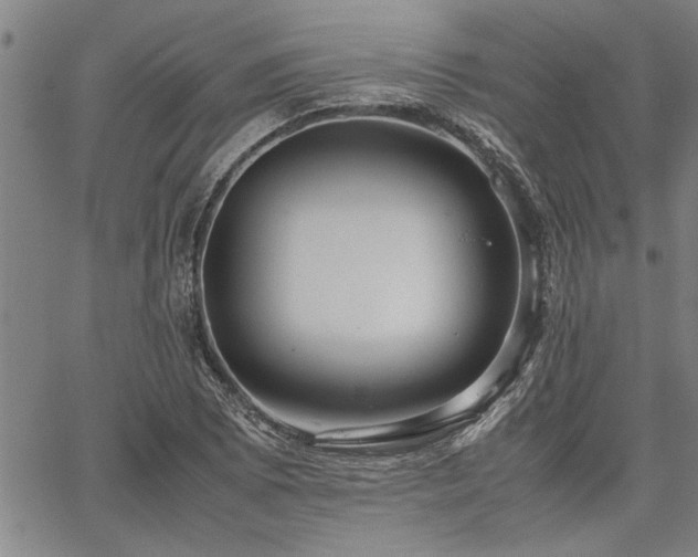 X0000067521073200604071315