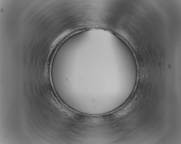 X0000067521074200604071315