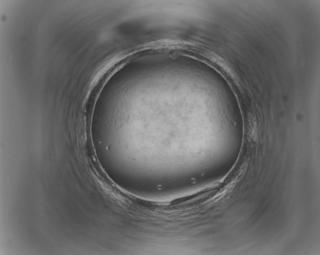 X0000067521075200604071315