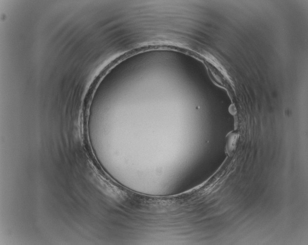 X0000067521076200604071315