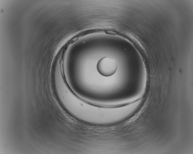 X0000067521077200604071315