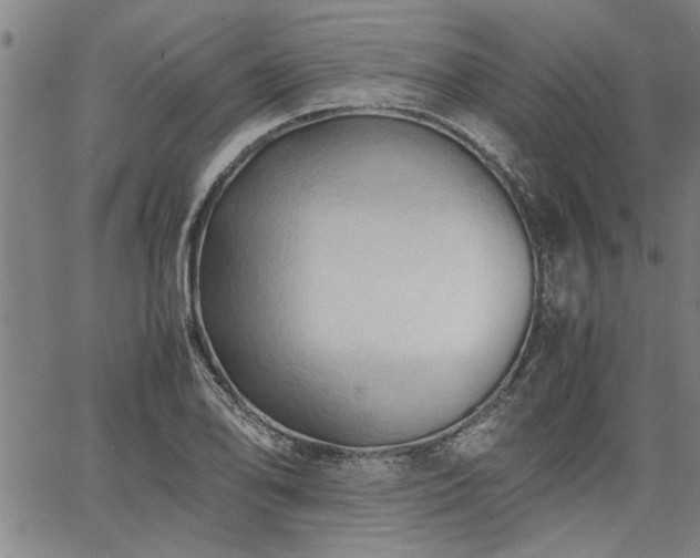 X0000067521078200604071315