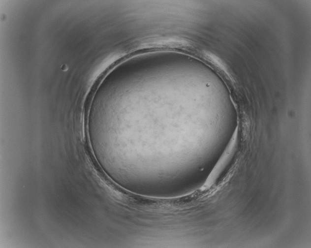 X0000067521079200604071315