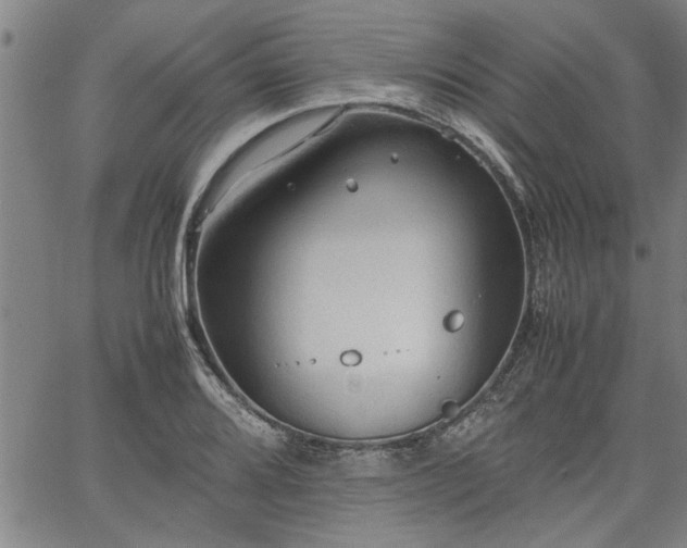 X0000067521080200604071315