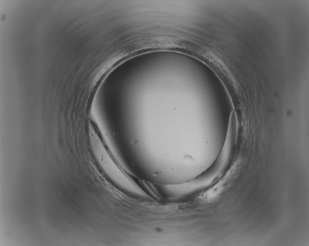 X0000067521081200604071315