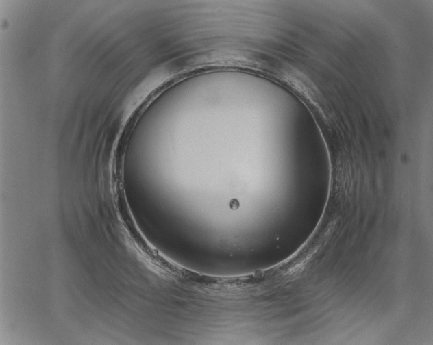 X0000067521082200604071315