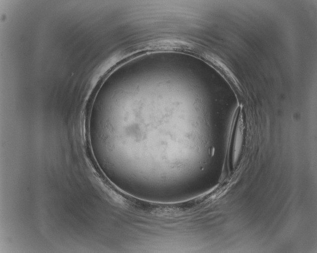 X0000067521083200604071315