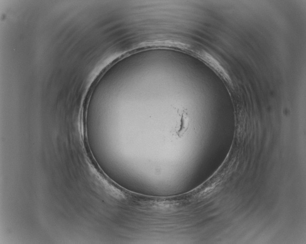 X0000067521084200604071315