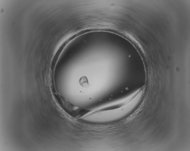 X0000067521085200604071315