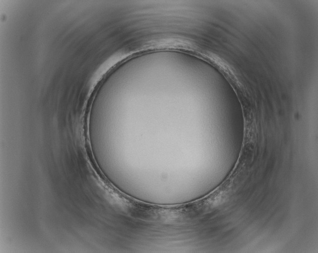 X0000067521086200604071315