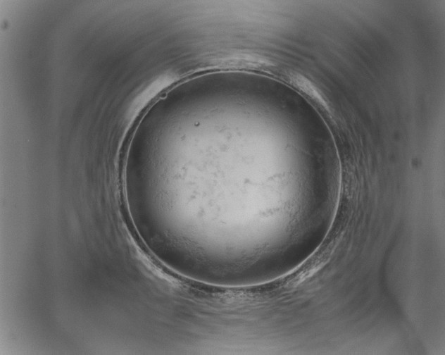 X0000067521087200604071315