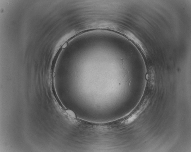 X0000067521088200604071315