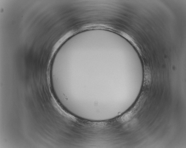 X0000067521090200604071315