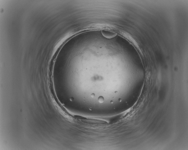 X0000067521091200604071315