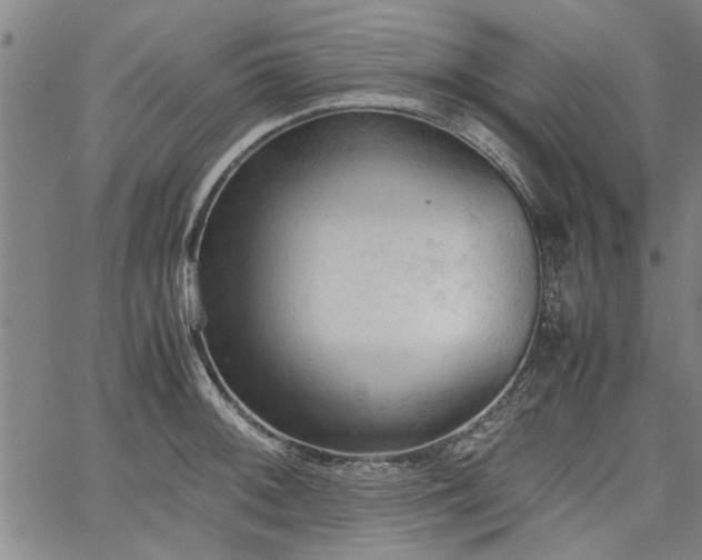 X0000067521092200604071315