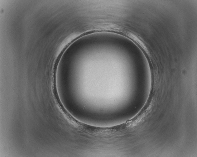 X0000067521093200604071315