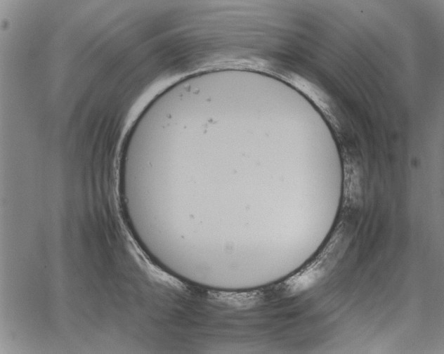 X0000067521094200604071315