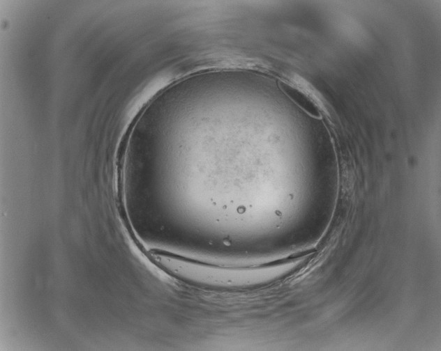 X0000067521095200604071315