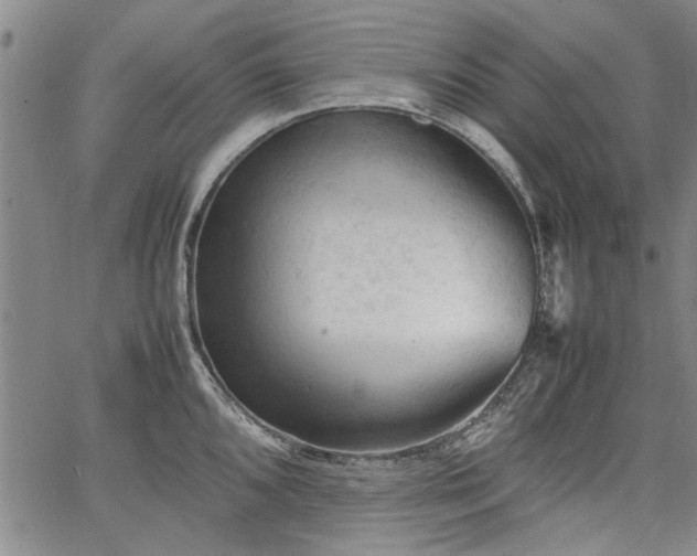 X0000067521096200604071315