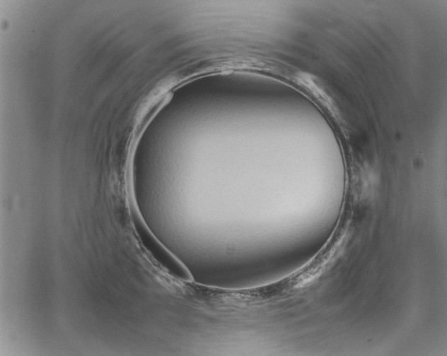 X0000067521097200604071315