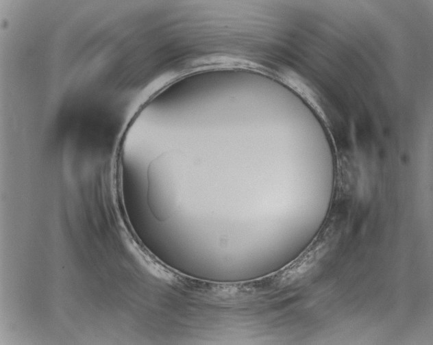 X0000067521098200604071315