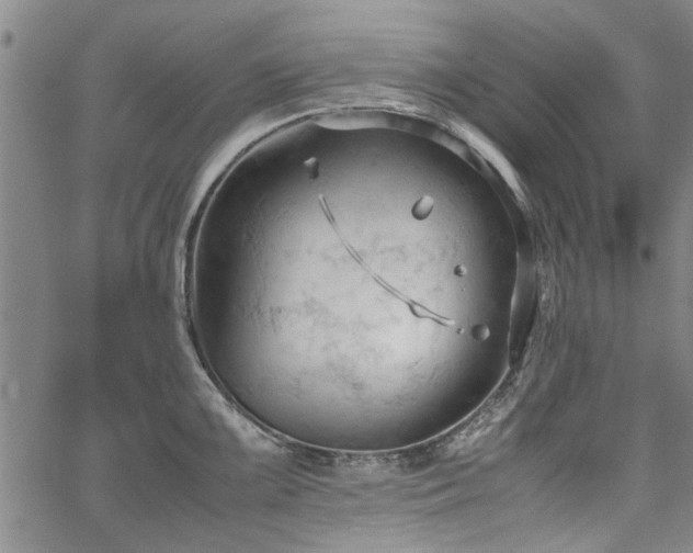 X0000067521099200604071315