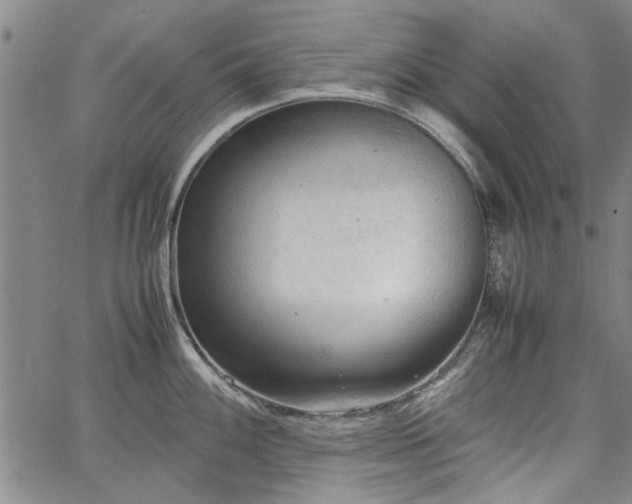 X0000067521100200604071315