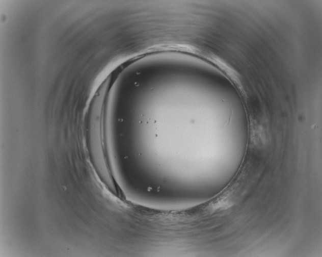 X0000067521102200604071315