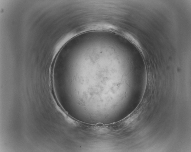 X0000067521103200604071315