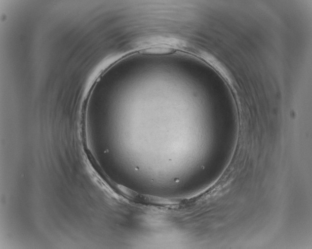 X0000067521104200604071315