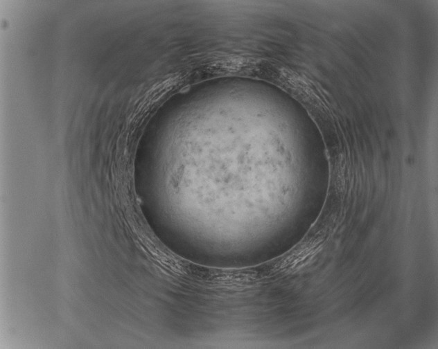 X0000067521105200604071314