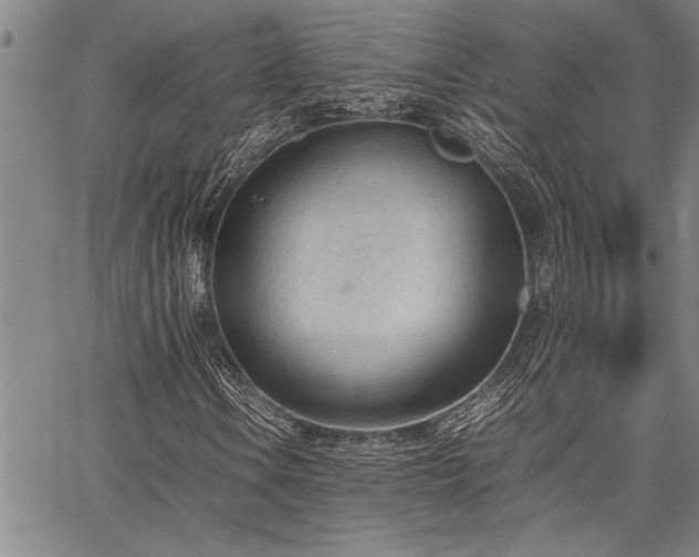 X0000067521106200604071314