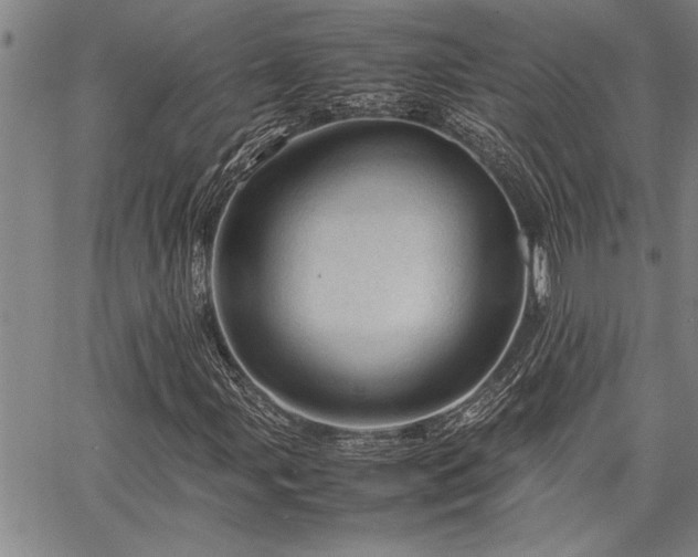 X0000067521107200604071314