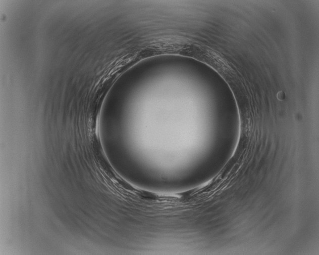 X0000067521108200604071314