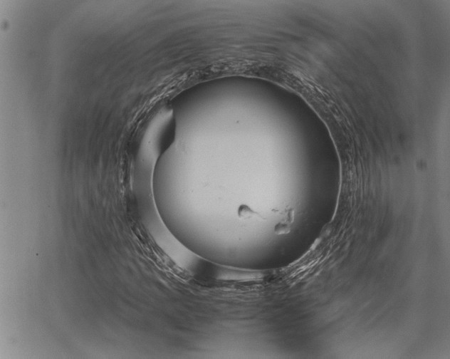 X0000067521109200604071314