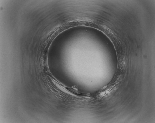 X0000067521110200604071314