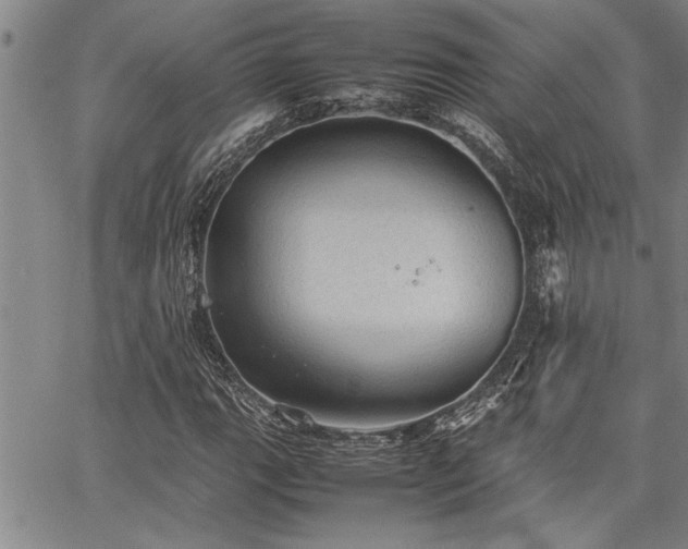 X0000067521111200604071314