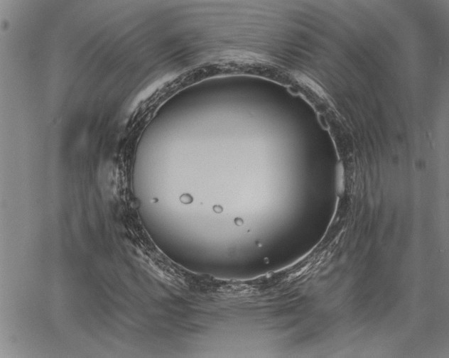 X0000067521112200604071314