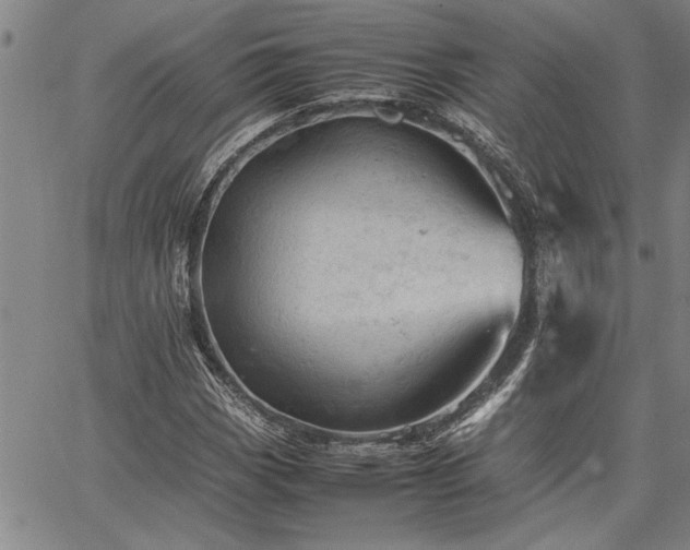 X0000067521113200604071314