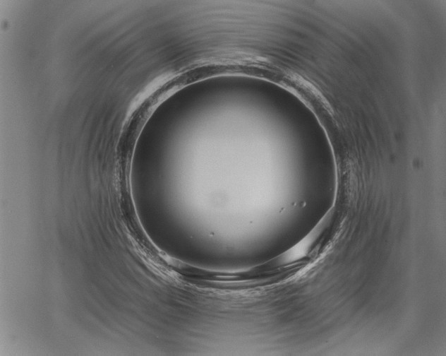 X0000067521114200604071314