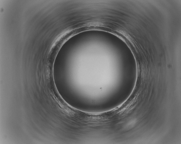 X0000067521115200604071314