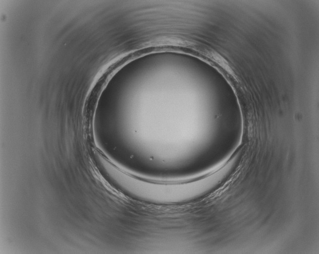 X0000067521116200604071314