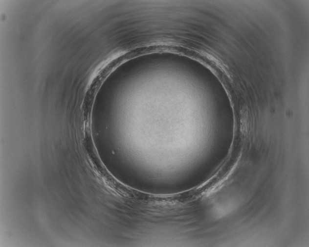 X0000067521117200604071314