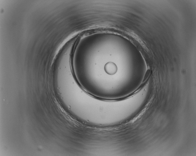 X0000067521118200604071314