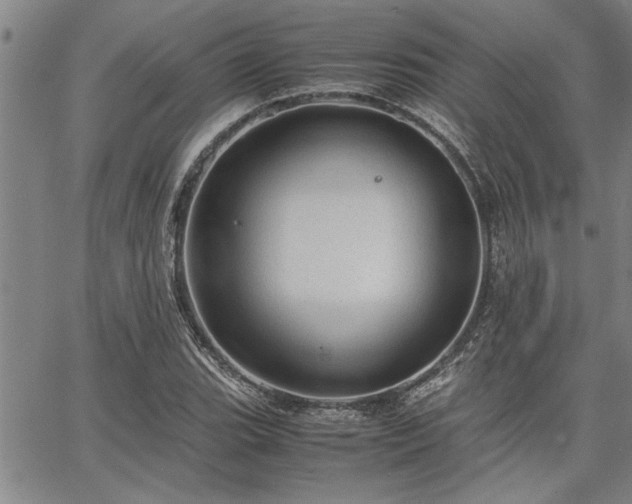 X0000067521119200604071314